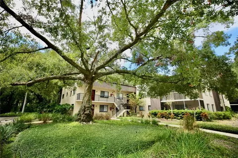 11702 Raintree Village Blvd #B, Temple Terrace, FL 33617