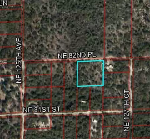 12790 NE 82nd Pl, Bronson, FL 32621