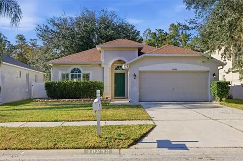 10232 Grant Creek Dr, Tampa, FL 33647