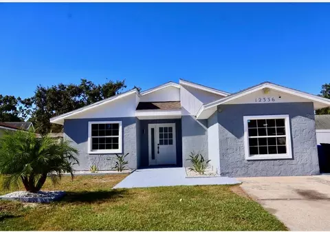 12336 Cloverstone Dr, Tampa, FL 33624