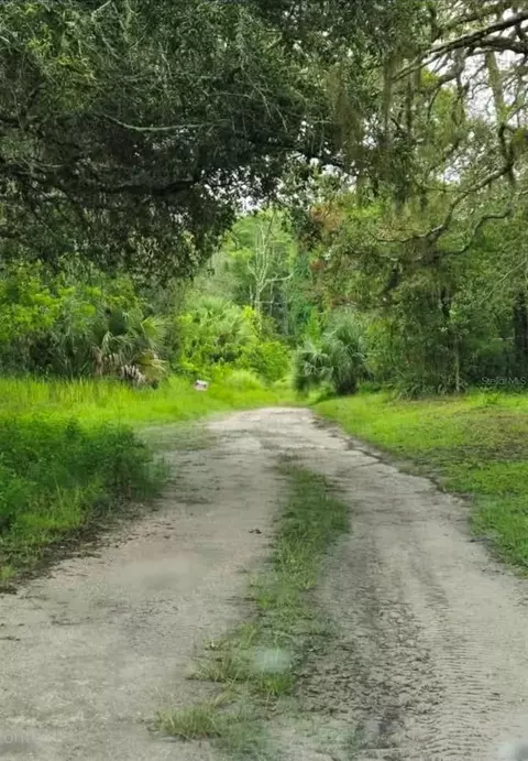 Ladd Avenue, New Port Richey, FL 34654