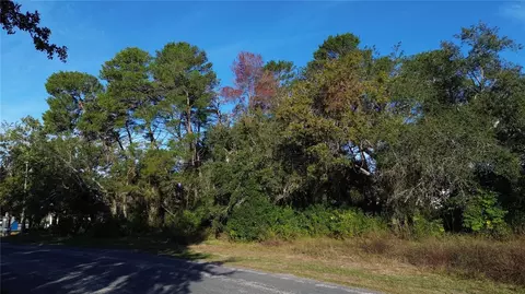 7939 Rhanbuoy Rd, Spring Hill, FL 34606 photo 4
