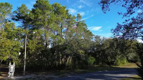 7939 Rhanbuoy Rd, Spring Hill, FL 34606 photo 5