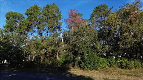 7939 Rhanbuoy Rd, Spring Hill, FL 34606 photo 2