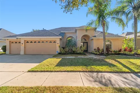 19104 Nature Palm Ln, Tampa, FL 33647