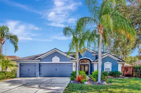 467 Equine Dr, Tarpon Springs, FL 34688