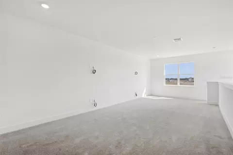 Other - 8218 Golden Beach Ct, Parrish, FL 34219 photo 4 of 5