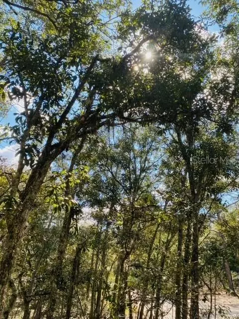 Coyote Road, Hudson, FL 34667