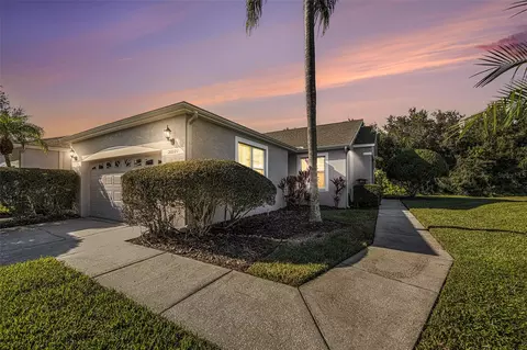 20521 Homossasa Ct, Land O Lakes, FL 34637