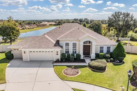 20331 Natures Corner Dr, Tampa, FL 33647