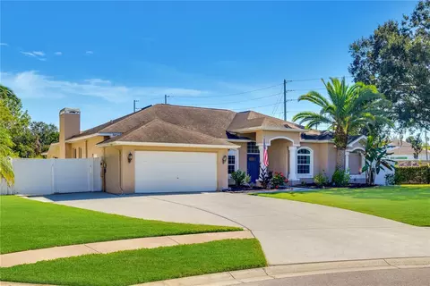 26210 Corkwood Ct, Land O Lakes, FL 34639