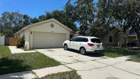 13642 Laraway Dr, Riverview, FL 33579 photo 1