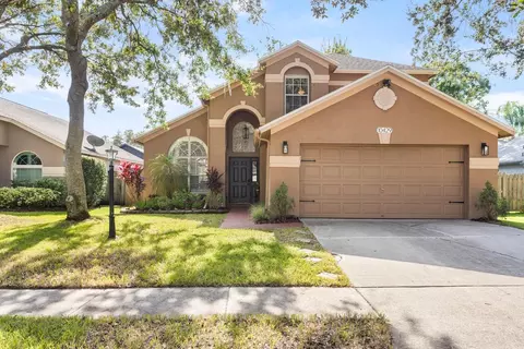 10429 Springrose Dr, Tampa, FL 33626