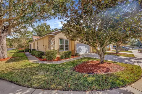 3601 Savannah Lake Pl, Valrico, FL 33596