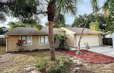 2884 Cinnamon Bear Trl, Palm Harbor, FL 34684