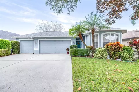 2911 Hickory Grove Dr, Valrico, FL 33596
