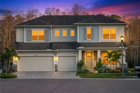15469 Aviles Pkwy, Odessa, FL 33556