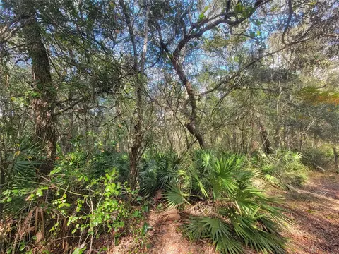 Watt Street, Webster, FL 33597