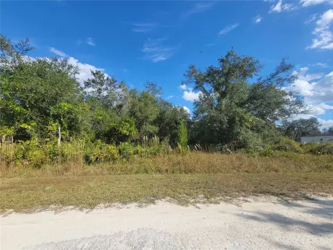 9460 Rousseau St, Webster, FL 33597