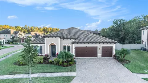 28726 Picana Ln, Wesley Chapel, FL 33543