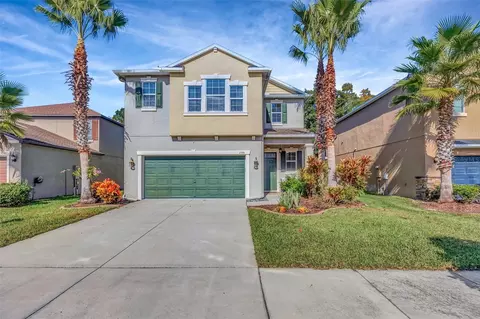1595 Ludington Ave, Wesley Chapel, FL 33543