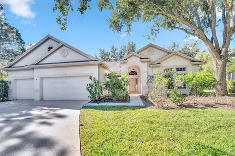 10218 Shadow Branch Dr, Tampa, FL 33647