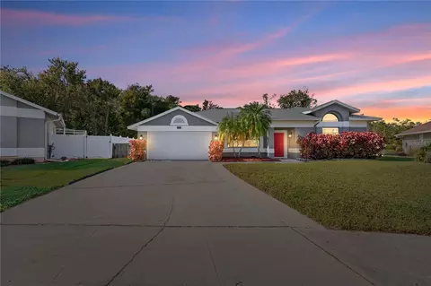 11406 Palm Pasture Dr, Tampa, FL 33635