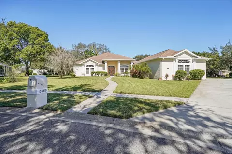 13750 Dowling Ln, Odessa, FL 33556
