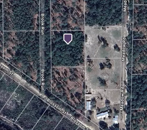 104 Brook Run, Florahome, FL 32140 photo 1