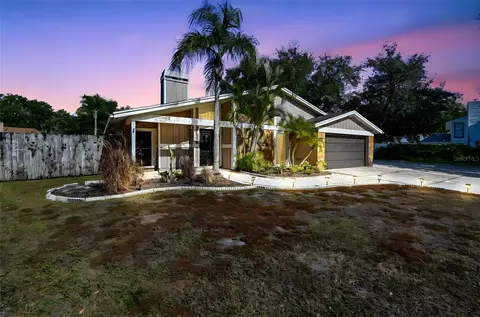4603 Goldbud Ln, Tampa, FL 33624
