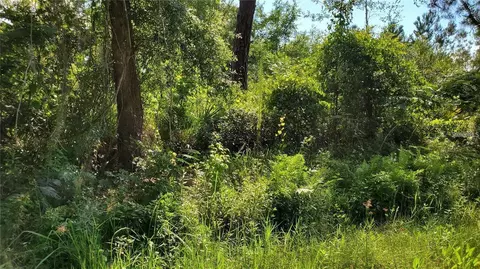 Bowfin Drive, Satsuma, FL 32189