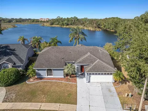 2229 Foggy Ridge Pkwy, Land O Lakes, FL 34639