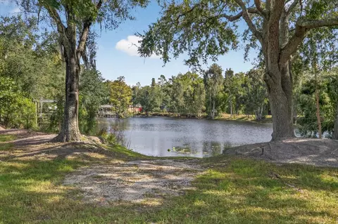 3926 Cove Lake Pl, Land O Lakes, FL 34639