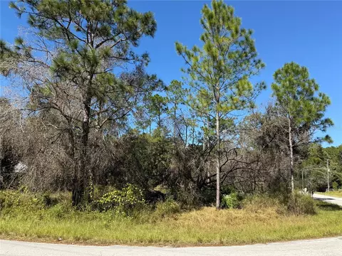 27975 Robin Roost Ln, Wesley Chapel, FL 33544