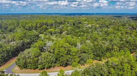 10227 N Athenia Dr, Citrus Springs, FL 34434