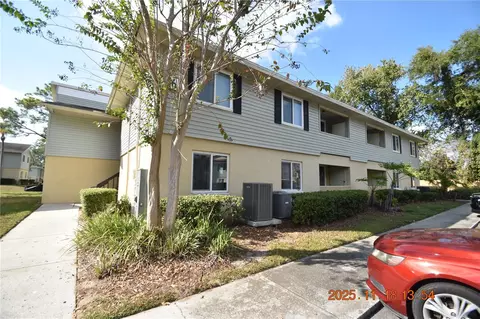 228 Thorn Tree Pl, Brandon, FL 33510