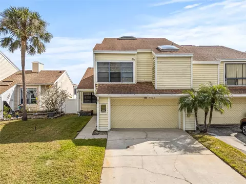4029 Starfish Ln, Tampa, FL 33615