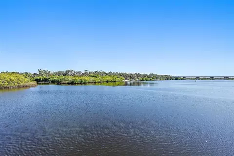 View/Area - 11739 River Shores Trl, Parrish, FL 34219 photo 5 of 18