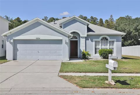 10224 Grant Creek Dr, Tampa, FL 33647