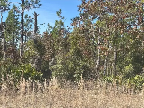 0000 NE 106th Ct, Archer, FL 32618