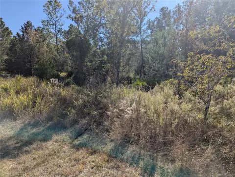 11228 Fool Duck Ave, Weeki Wachee, FL 34613