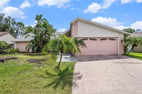 3335 Foxridge Cir, Tampa, FL 33618