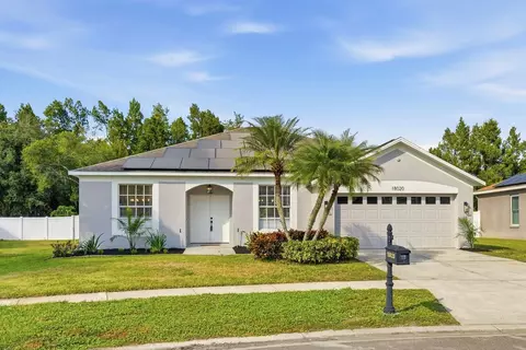 18020 Sparrows Nest Dr, Lutz, FL 33558