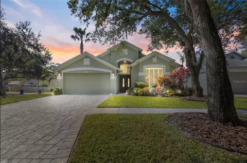 10437 Springrose Dr, Tampa, FL 33626