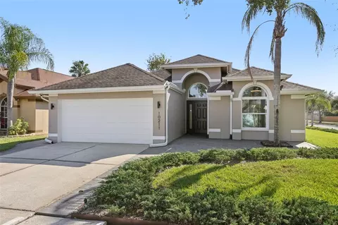 10211 Oasis Palm Dr, Tampa, FL 33615