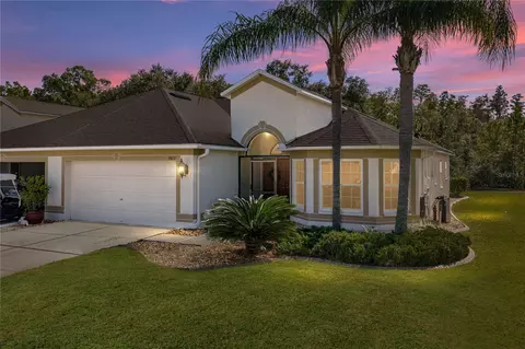9617 Rolling Cir, San Antonio, FL 33576