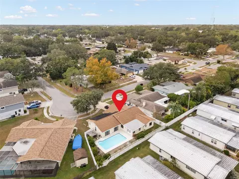 254 Timberview Dr, Safety Harbor, FL 34695