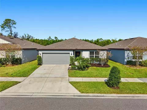 30177 Merilee Pl, Wesley Chapel, FL 33545