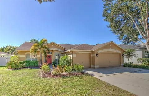 4621 River Close Blvd, Valrico, FL 33596
