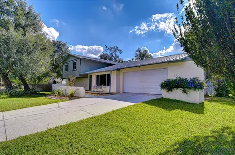 309 Bloomingfield Dr, Brandon, FL 33511